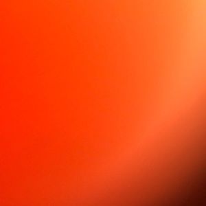 Meet your Posher, Beau